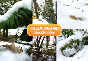 FREE Winter Stock Photography from Tidy Design V2