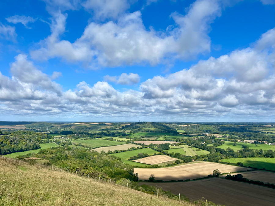 Butser Hill